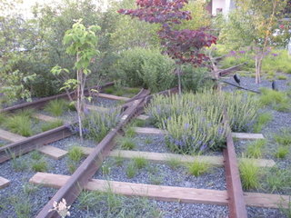 The High Line, June 2009
